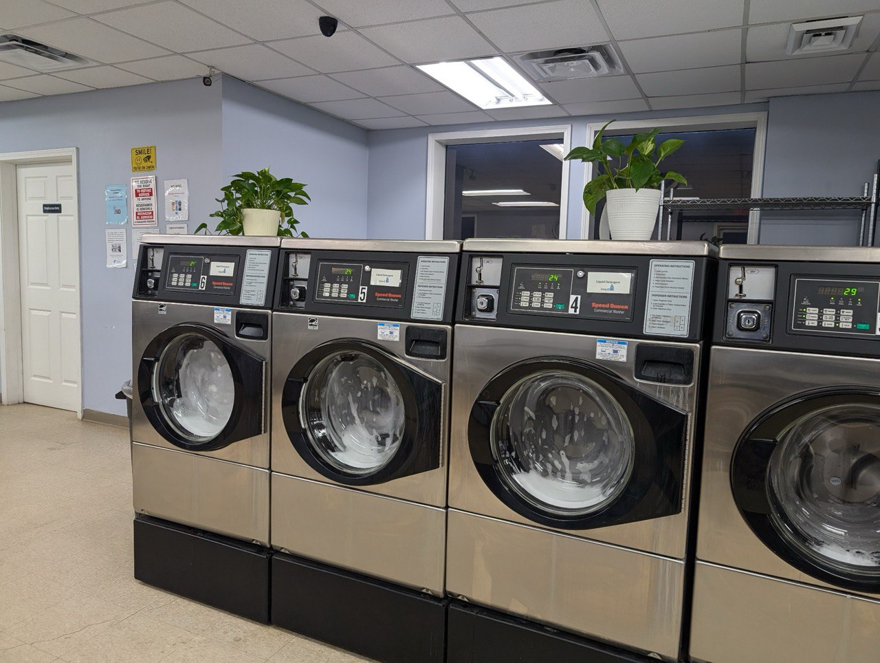 Picture of Their Laundry-3